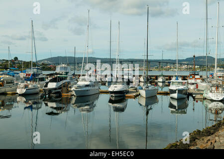 Marina bei Lindisfarne, Hobart, Tasmanien, Australien Stockfoto