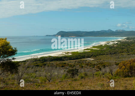 Strand, Freycinet NP, Tasmanien, Australien Stockfoto