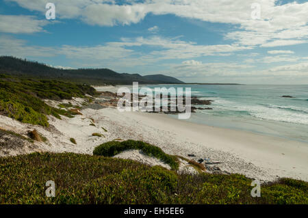 Strand, Freycinet NP, Tasmanien, Australien Stockfoto