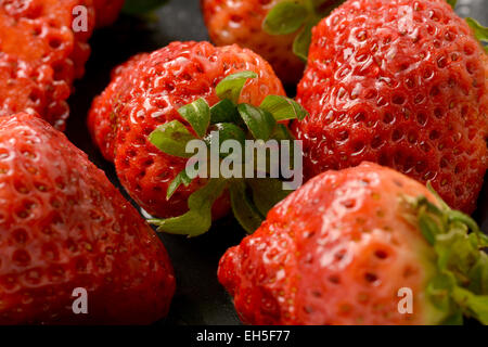 Einzelne wohlgeformte Erdbeere mit Blätter in Gruppe von Erdbeeren Stockfoto