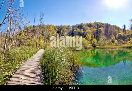 Plitvicer Seen Nationalpark Promenade durch grünes Wasser Stockfoto