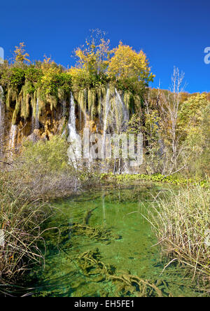 Grüner See unter Plitvicer Wasserfall im Nationalpark von Kroatien Stockfoto