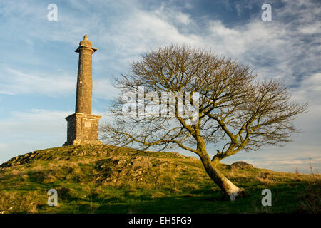 Rodney's Säule, Briedden Hügel, Powys, Wales Stockfoto