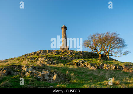 Rodney's Säule, Briedden Hügel, Powys, Wales Stockfoto