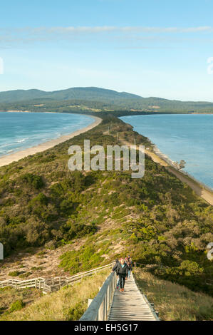 Der Hals, Bruny Island, Tasmanien, Australien Stockfoto