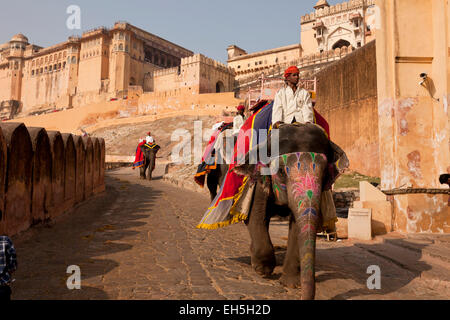 Touristischen Elefantenritt zum Amber Fort in Jaipur, Rajasthan, Indien, Asien Stockfoto