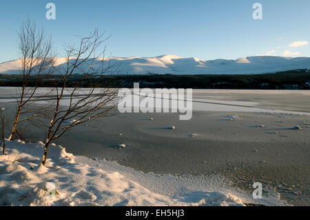 Die Cairngorm Berge über einen gefrorenen Loch Morlich, in der Nähe von Aviemore Highland Region, Schottland, UK Stockfoto