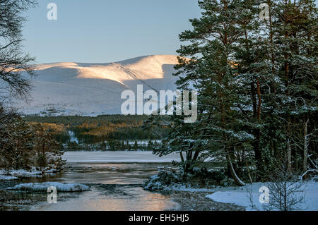 Cairngorm Mountain über einen gefrorenen Loch Morlich, in der Nähe von Aviemore Highland Region, Schottland, UK Stockfoto