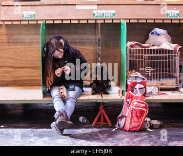 Birmingham, Vereinigtes Königreich. 7. März 2015. Crufts 2015 Terrier und Hound Day, wo Hunde Richter zu finden, zeigen die besten in Credit: Steven Reh/Alamy Live News Stockfoto