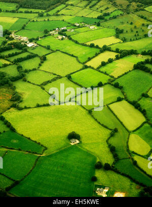 Grüne Weiden, wie aus der Luft gesehen. Irland Stockfoto