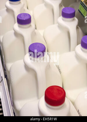 Milch Gallonen, Abteilung für Milchprodukte, Publix Supermarkt in Florida, USA Stockfoto