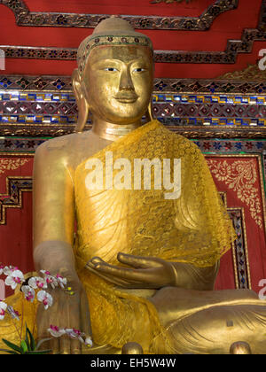 Buddhastatuen im Wat Si Rong Mueang, Lampang, Thailand Stockfoto