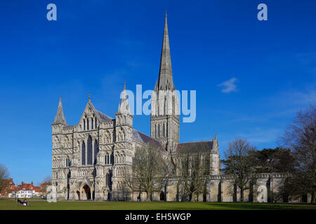 Kathedrale von Salisbury Diözese mit Figuren zeigen Kreuzgang Wand, West End, Langhaus, Querschiff & Spire Stockfoto