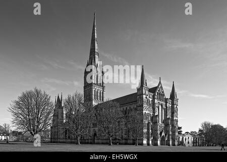 Kathedrale von Salisbury Diözese in Monochrom mit Figuren zeigen Kreuzgang, West End, North Tür, Querschiff & Spire Stockfoto