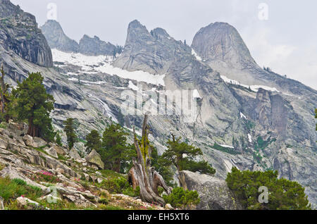 Blick entlang der High Sierra Trail, in der Nähe von Hamilton Lake Sequoia Nationalpark, Kalifornien, USA. Stockfoto