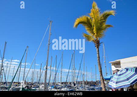 Überfüllten Marina mit Masten überall in Puerto de Mogan, Gran Canaria, Spanien. Stockfoto