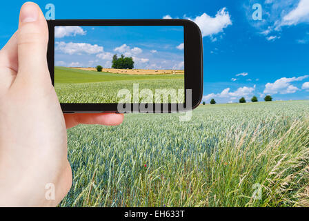 Konzept - Touristen nehmen Foto von Sommerlandschaft Reisen mit Weizenfeldern in Frankreich auf mobile Gadget Stockfoto