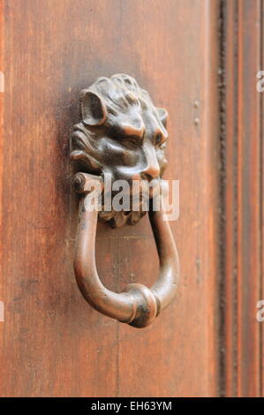 Bronze Löwenkopf Klopfer auf eine Holztür Stockfoto