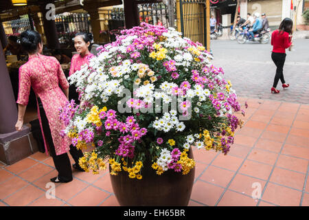 Blumen, Quan An Ngon Restaurant auf 18 Phan Boi Choi Street ist ein beliebtes authentische vietnamesische Restaurant, Han Noi, Hanoi, Vietnam, Stockfoto