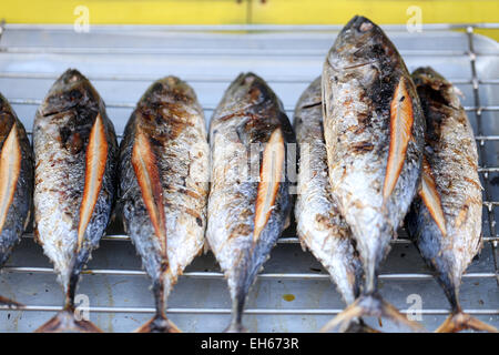 Gegrillter Bonito-Fisch auf dem Markt. Stockfoto