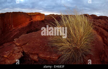 Kings Canyon, Watarrka National Park im Northern Territory, Australien. Stockfoto