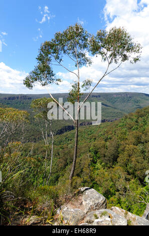 Echo Point, Morton Nationalpark, New South Wales, Australien Stockfoto