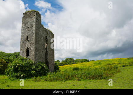 In der Nähe von Newgrange, Donore Co. Meath, Irland Stockfoto