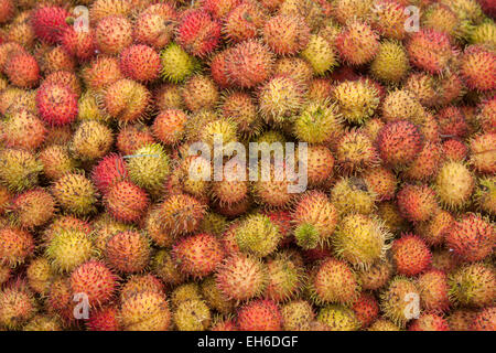 Viel frische Rambutan Früchte auf einem Markt in Phu Quoc, Vietnam Stockfoto