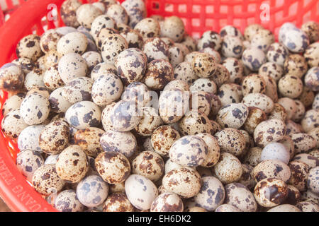 Eine Menge Quil Eier in einem Korb auf einem Markt Stockfoto