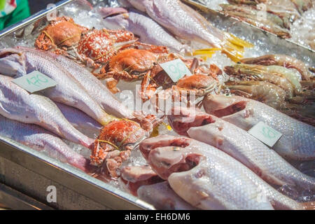 Viel Fisch, auf einem Markt Stockfoto