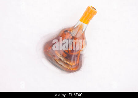 Eine Flasche Wein Schlange, isoliert in weißen Schnee Stockfoto