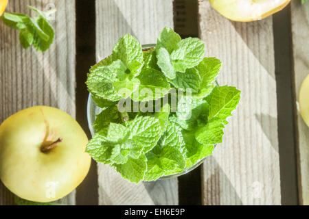 Minze in ein Glas, in der Nähe von Äpfeln, Zitrone und Limette, auf hölzernen Hintergrund Stockfoto