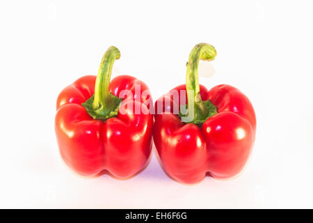 Zwei rote Paprika, isoliert auf weißem Hintergrund Stockfoto