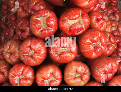 Viele rote Java Äpfel auf einem Markt in Ho-Chi-Minh-Stadt in Vietnam Stockfoto