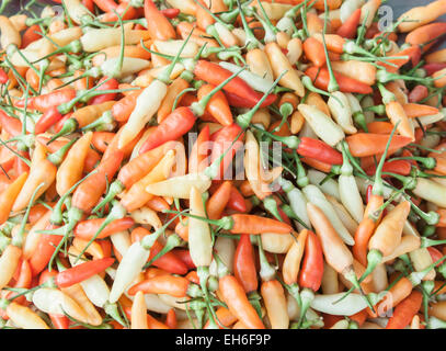 Viel frische, gelbe, rote und orange Chilis, auf einem Markt in Phu Quoc, Vietnam Stockfoto