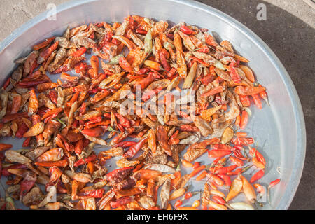 Viele trockene Chili, auf einem Markt in Phu Quoc, Vietnam Stockfoto