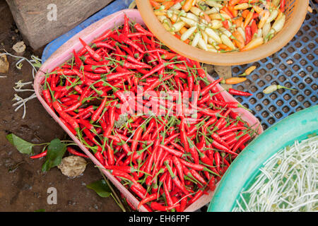 Viele rote Chili, auf einem Markt Stockfoto