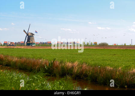 reizvolle Landschaft mit holländischen Windmühle hellen Frühlingstag Stockfoto