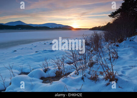 Winter Sonnenuntergang von den Ufern der gefrorenen Loch Morlich in Aviemore, Cairngorms, Schottland, Vereinigtes Königreich Stockfoto