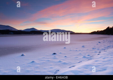 Winter Sonnenuntergang von den Ufern der gefrorenen Loch Morlich in Aviemore, Cairngorms, Schottland, Vereinigtes Königreich Stockfoto