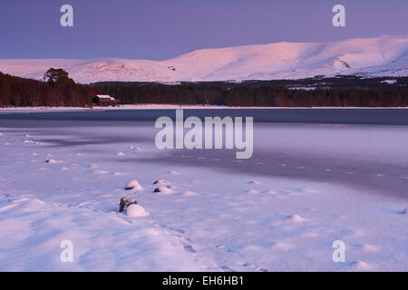 Winter Sonnenuntergang von den Ufern der gefrorenen Loch Morlich in Aviemore, Cairngorms, Schottland, Vereinigtes Königreich Stockfoto