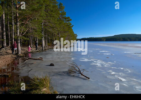 Loch-Garten im Winter - Cairngorms National Park, Schottland, UK Stockfoto