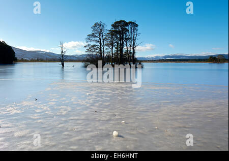 Gefrorene Loch Mallachie im Winter, Cairngorms National Park, Schottland, UK Stockfoto