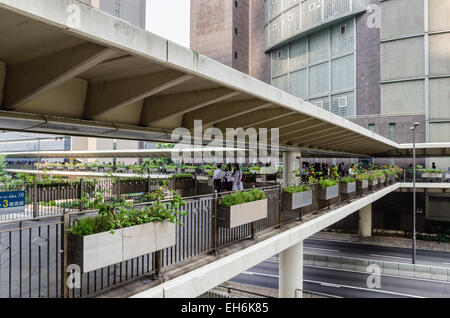 Erhöhten Laufstegen Verbindung von Gebäuden in Hong Kong zentral, Hong Kong Island, Hongkong, China Stockfoto