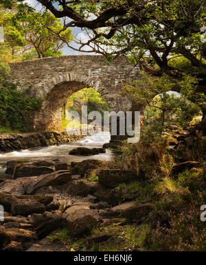 Alte Brücke Wehr. Kilanrney Seen, Gap of Dunloe. Killarney National Park, Irland Stockfoto