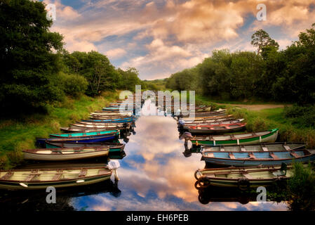 Angelboote/Fischerboote in kleinen Bucht. Killarney National Park, Irland. Stockfoto