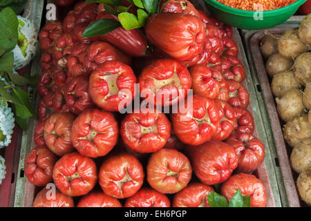 Viele rote Java Äpfel auf einem Markt in Ho-Chi-Minh-Stadt in Vietnam Stockfoto