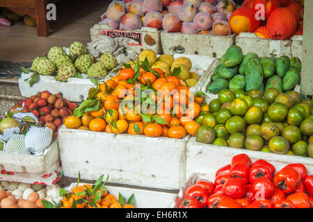 Mandarin, Pudding Äpfel und andere Früchte auf einem Obstmarkt, Papaya, Orange, persimon Stockfoto