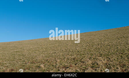 Blauer Himmel mit Kopie Raum und trockenen braunen Gras im Feld auf Ackerland Landschaft mit Winkel Horizont in Carmarthenshire, Wales, Großbritannien, 8. März 2015 KATHY DEWITT Stockfoto