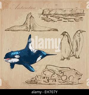 Serie Reisen: polare Regionen - Antarktis (Set No. 1) - Sammlung von einem Vektor-Illustrationen von Hand gezeichnet. Jede Zeichnung umfassen Stock Vektor